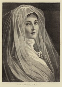 美女的类型，X